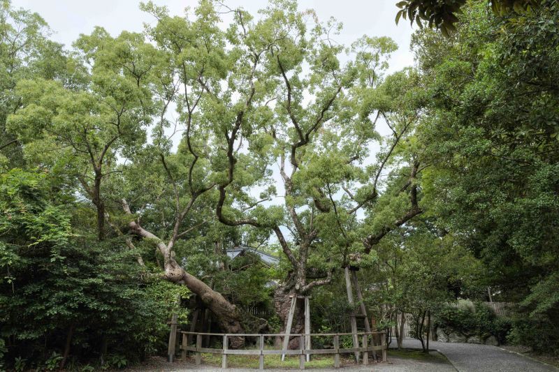 伊勢神宮 外宮（豐受大神宮）